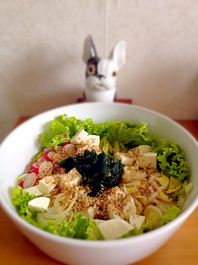 Comment utiliser le wakame et vinaigrette japonaise ワカメの使い方 Le Japon